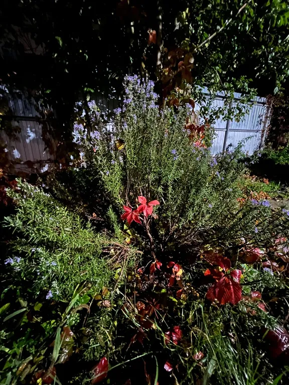 Домик с сауной для семейного отдыха в Новороссийске