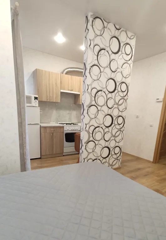 Квартира 1-комнатная Квартира — Светлогорск