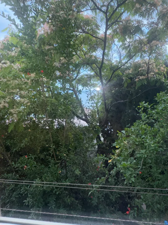 Летний домик