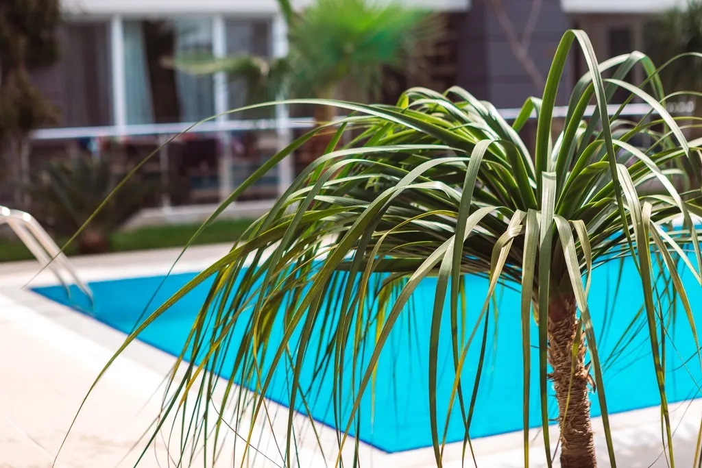 Уютная квартира на Средиземноморье