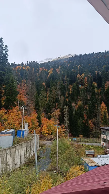 Уютный номер-студия