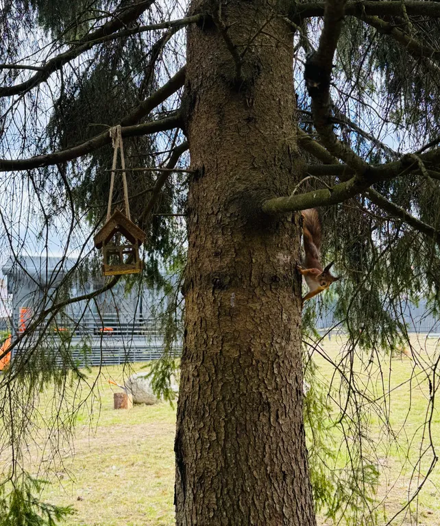 Коттедж вблизи Игоры с банным чаном