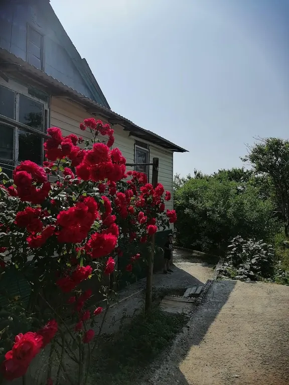 Квартира Уютные апартаменты со всеми удобствами — Макопсе