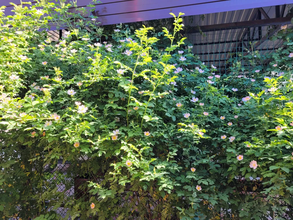 Коттедж Домик в центре города — Элиста