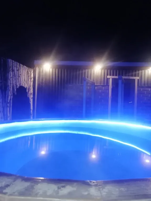 Дом в лесу с бассеином