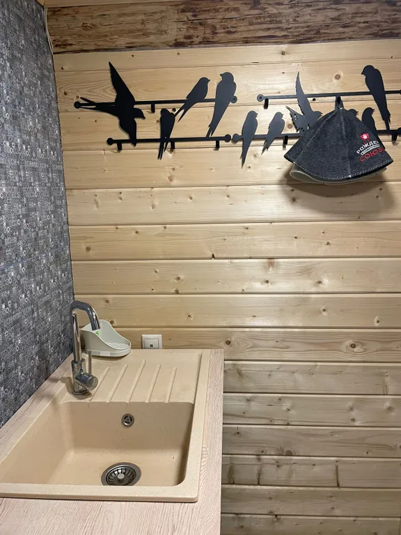 Коттедж Дом-баня с шикарным видом из окна и сибирским банным чаном — Васькино