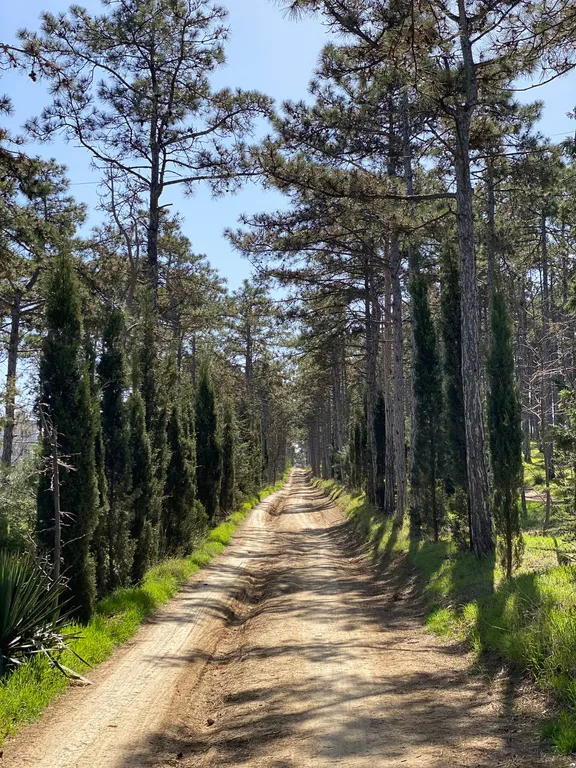 Квартира Квартира Супер видовая студия Гармония, Учкуевка — Севастополь