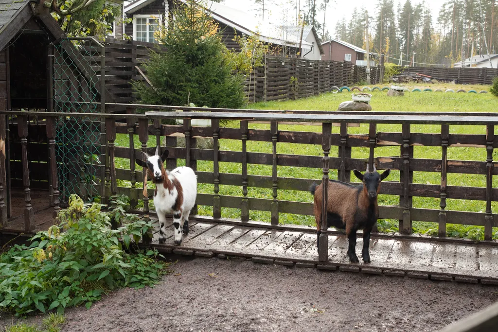 Лесная сказка 130