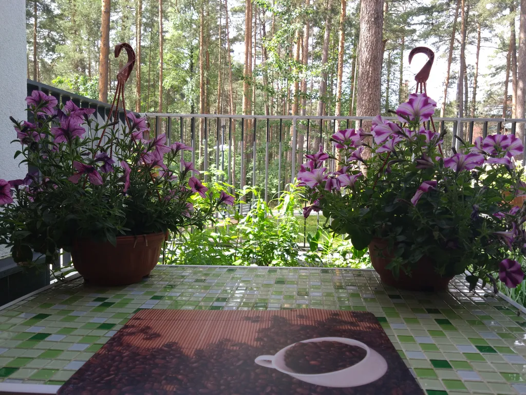 Апартаменты с террасой и камином в лесу рядом с Финским заливом