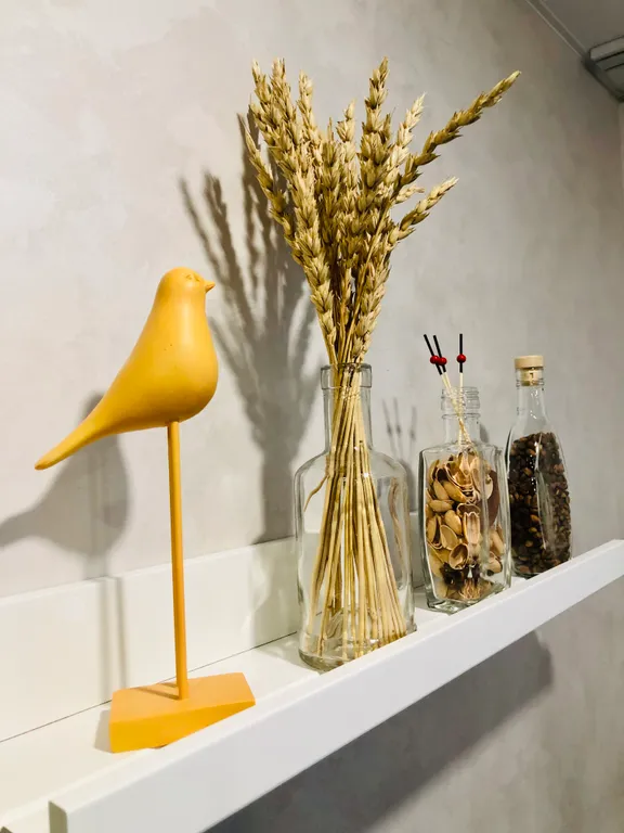 Элитная студия