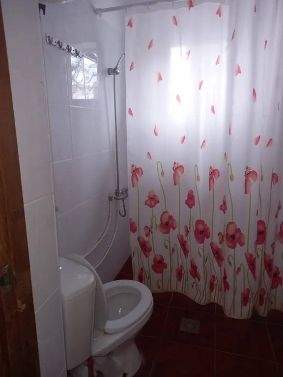 Предлагаю вашему вниманию дом под горой кошка