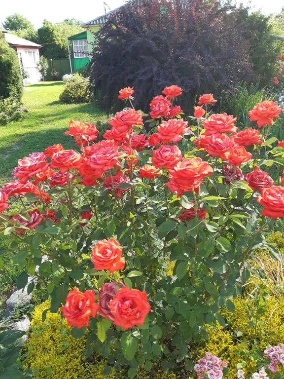 Коттедж Коттедж Хуторское Подворье — Павловка (Тарасовский район)