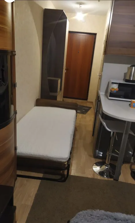 Уютная студия на площади Лядова