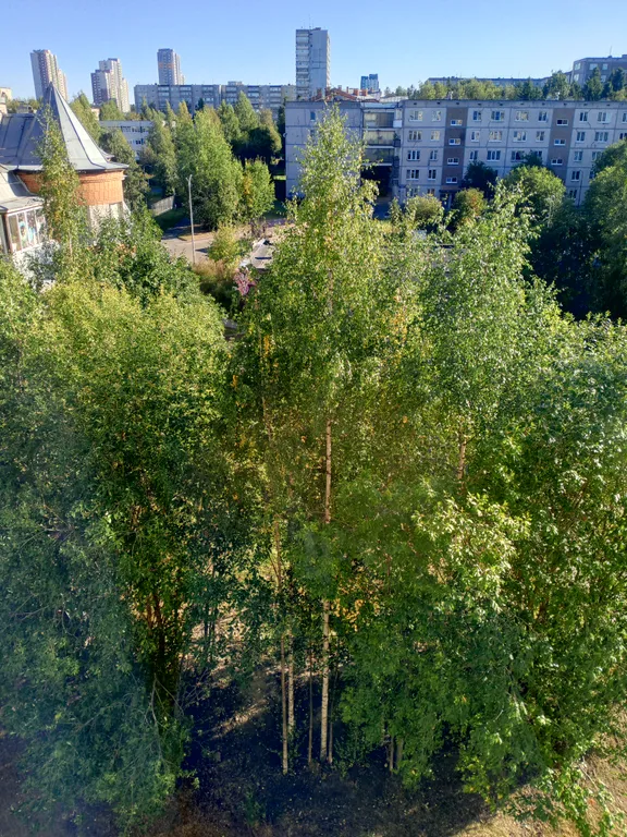 Однокомнатная квартира в спальном районе