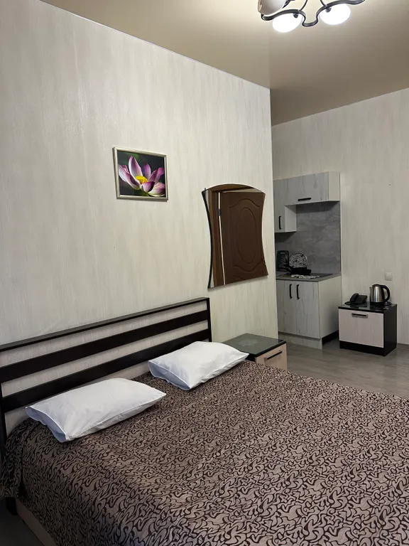 Комфортный двухместный номер с кухней по доступной цене