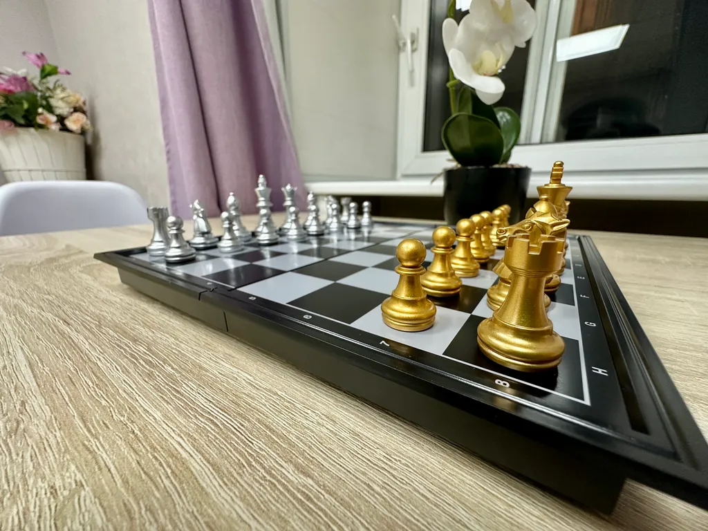 Большая квартира в самом центре города с видом на Власьевский сад