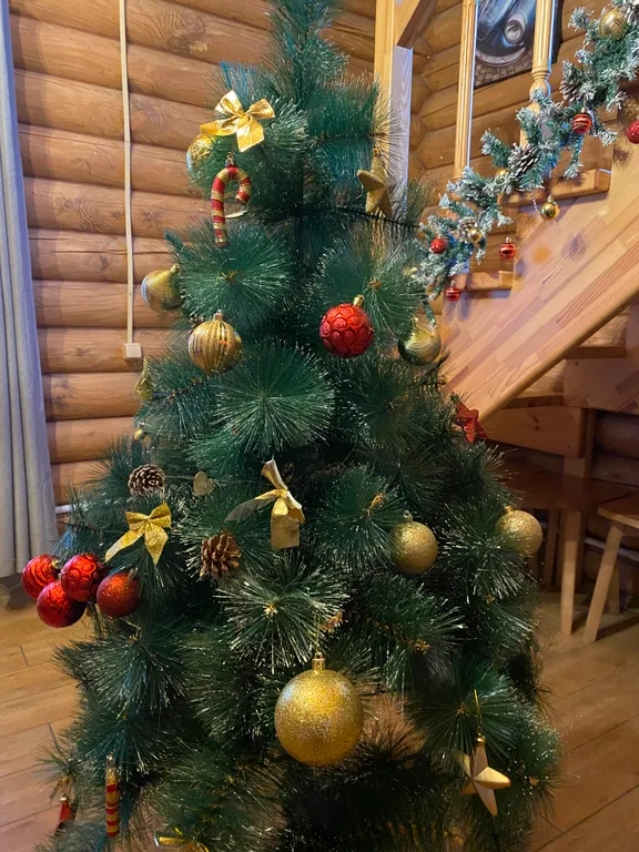 Дом в пяти минутах езды от псковского кремля