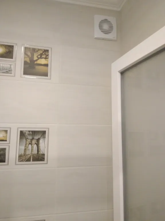 Квартира Квартира Четырехместные номера Зима, Весна, Лето, Осень — Витино