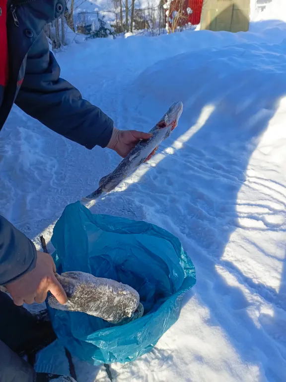 Коттедж Уютный домик на берегу озера Отрадное — Солнечное