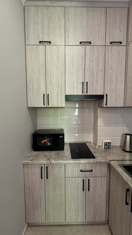 Квартира 1-комнатная Квартира — Сириус