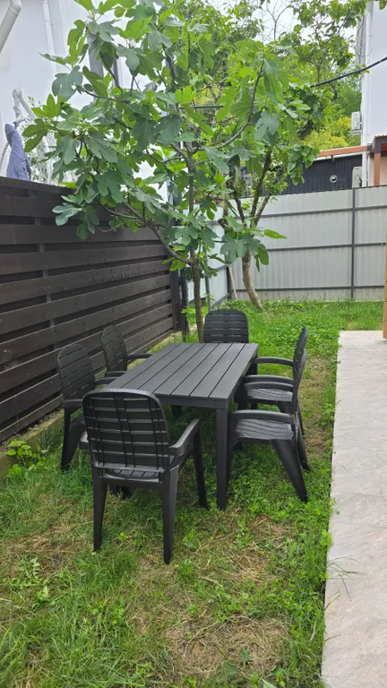 Новый дом с бамбуковой рощей