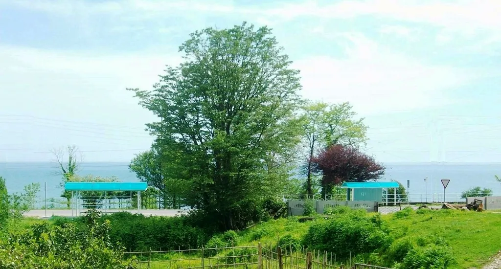 Уютная комната эконом класса с морем напротив