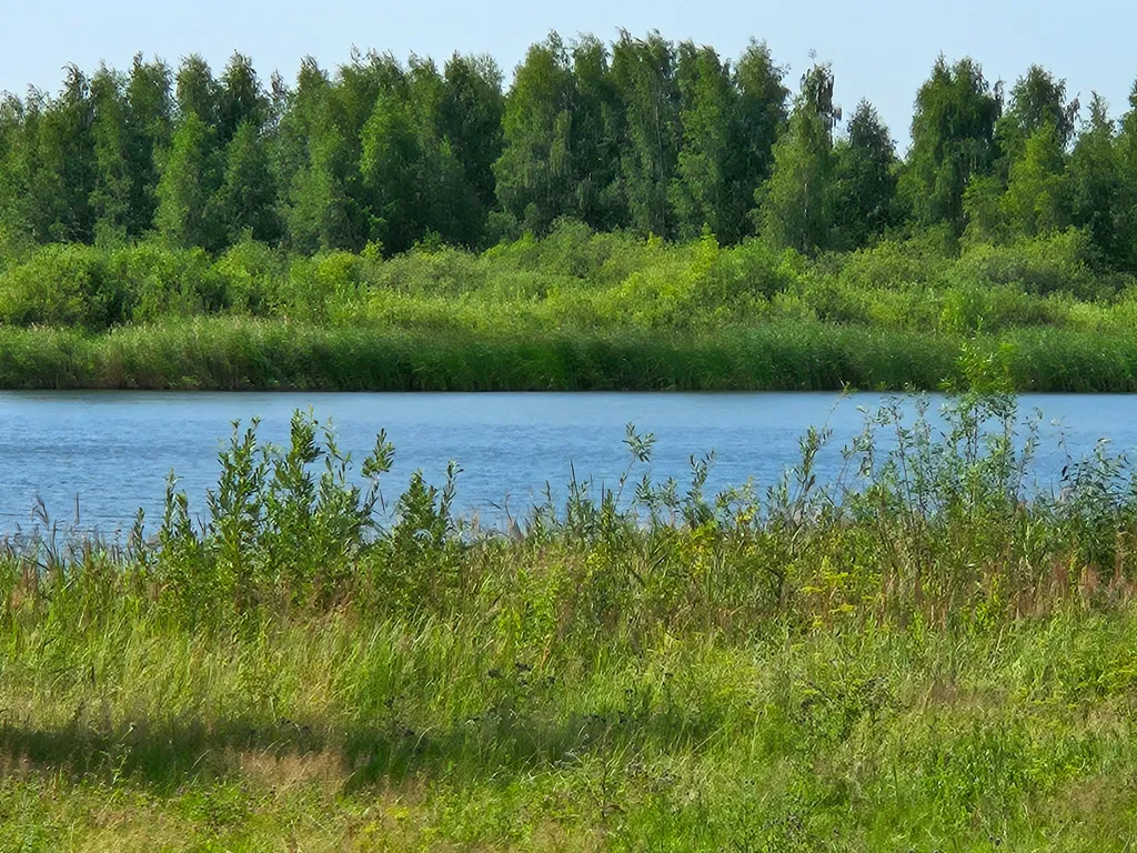 Квартира у озера