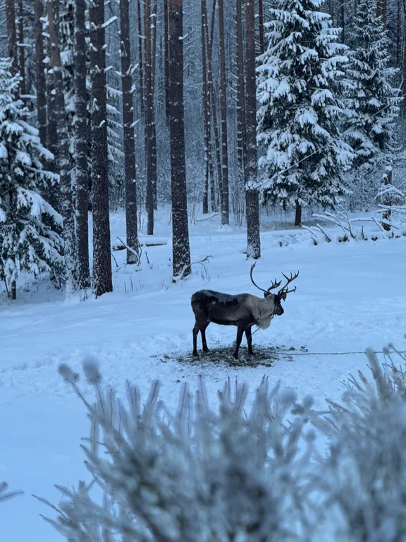 Коттедж Современный загородный дом со всеми удобствами рядом с озером — Борисово