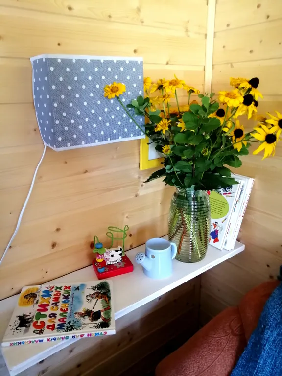 Коттедж Экодомик у реки — Сясьстрой