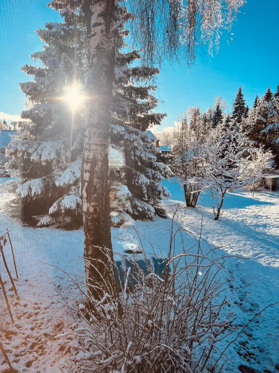 Коттедж 2-комнатный Дом — Раково (г/о Солнечногорск)