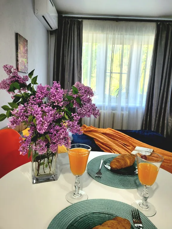 Уютная студия в центре города