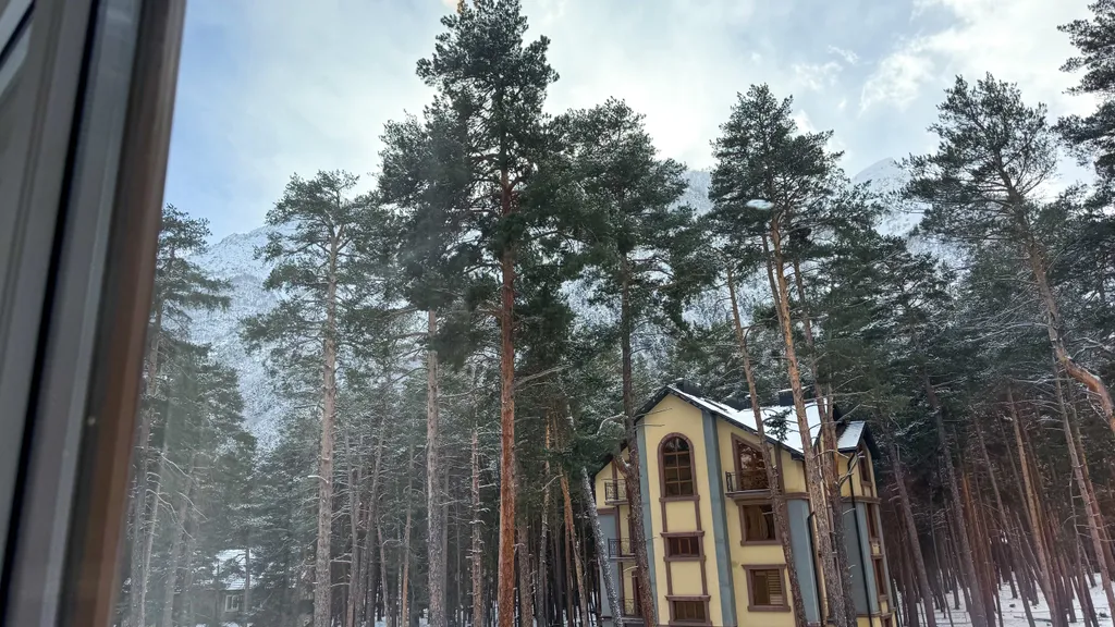 Уютная квартира в сосновом лесу в сердце гор