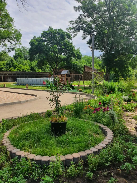 Дача отдыха Сосновая Роща