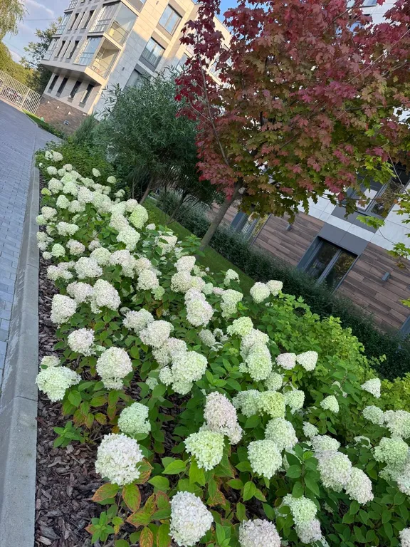 Апартаменты с видом на парк в ЖК Bereg Курортный