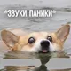 Andrei