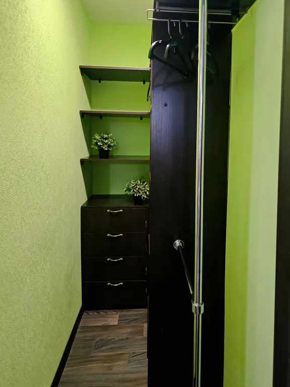 Квартира Gold Fish на Ленинском 24 в историческом центре