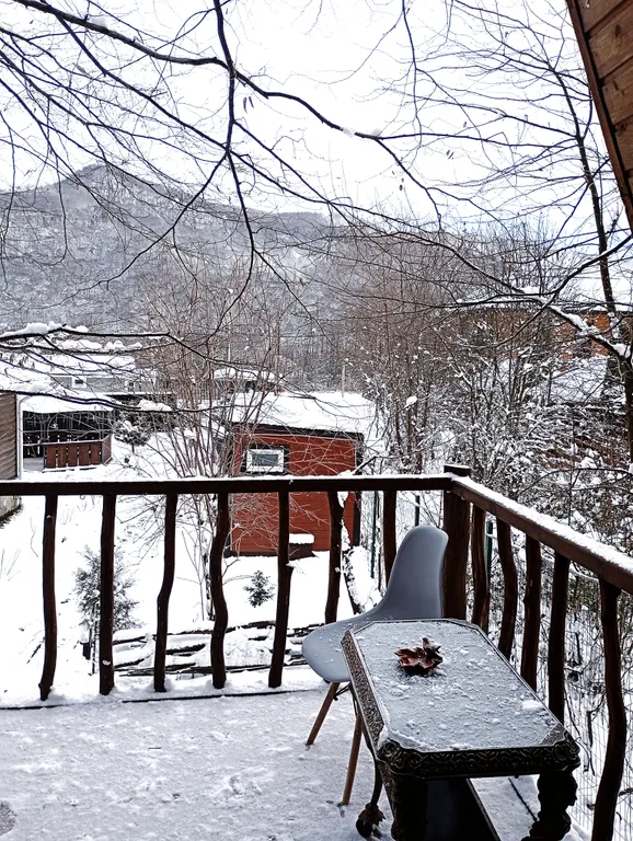 Шале с видом на лес и горы