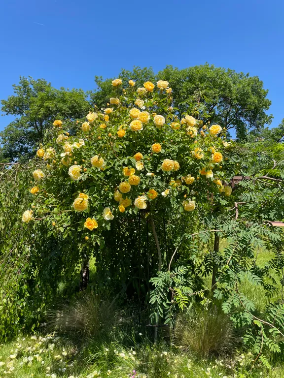 ЖК Грин Парк-центр апартаменты