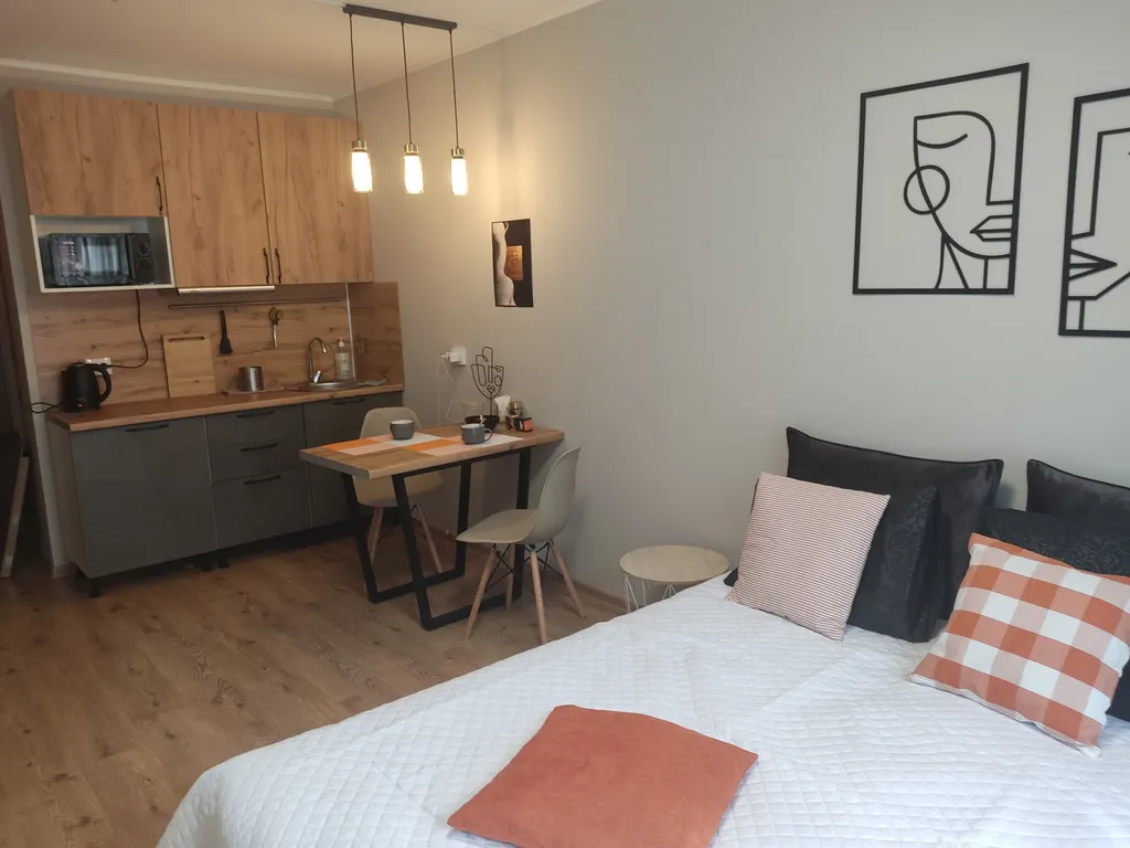 Стильная студия на Парнасе