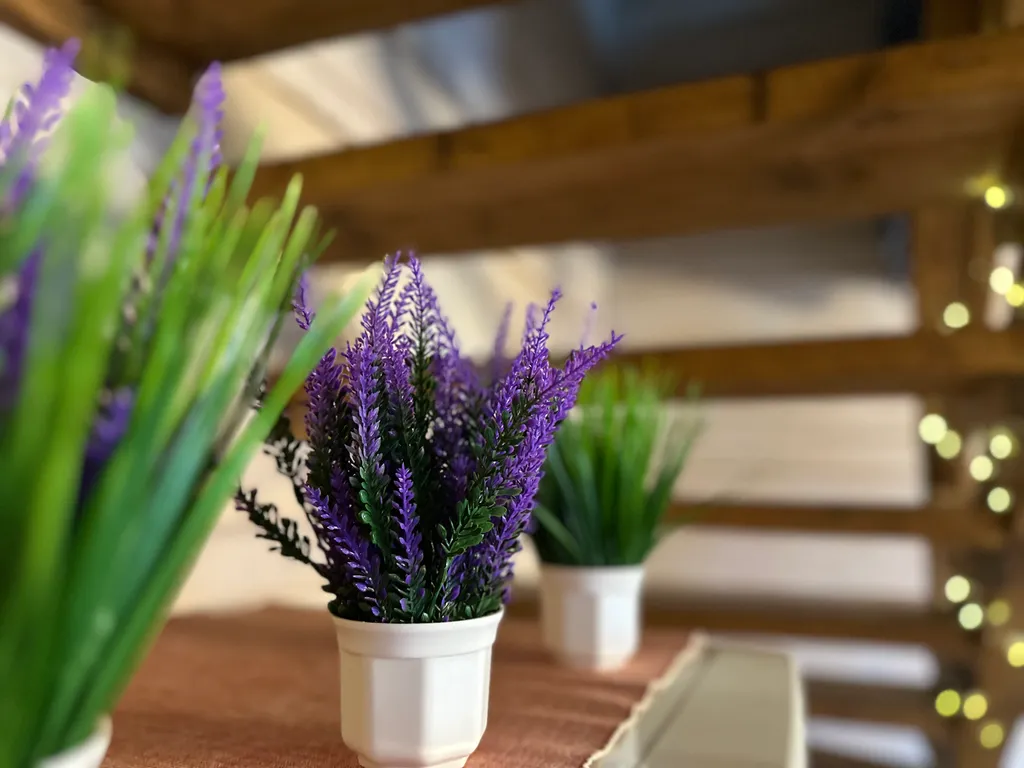 Домик в Горном Алтае с видом на горы