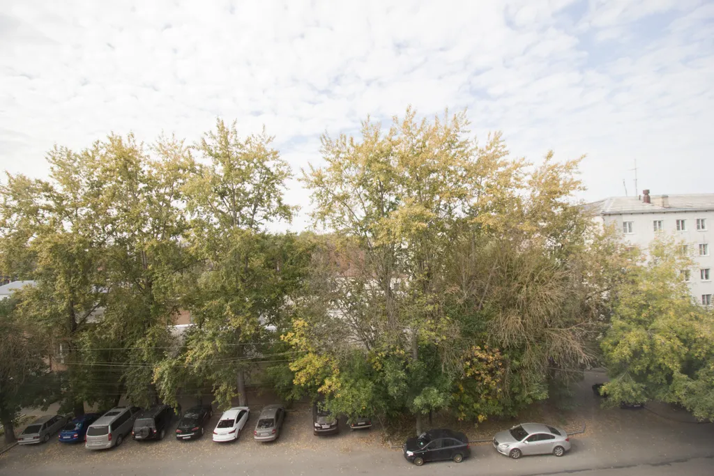 Уютная студия в центре города