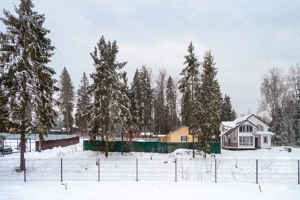 Уютный дом с панорамными окнами и видом на лес