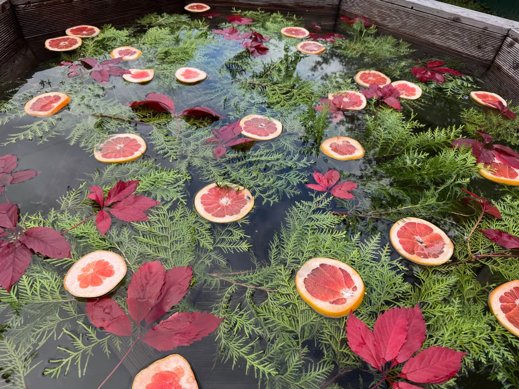 Дом отдыха в городе с баней и банным чаном