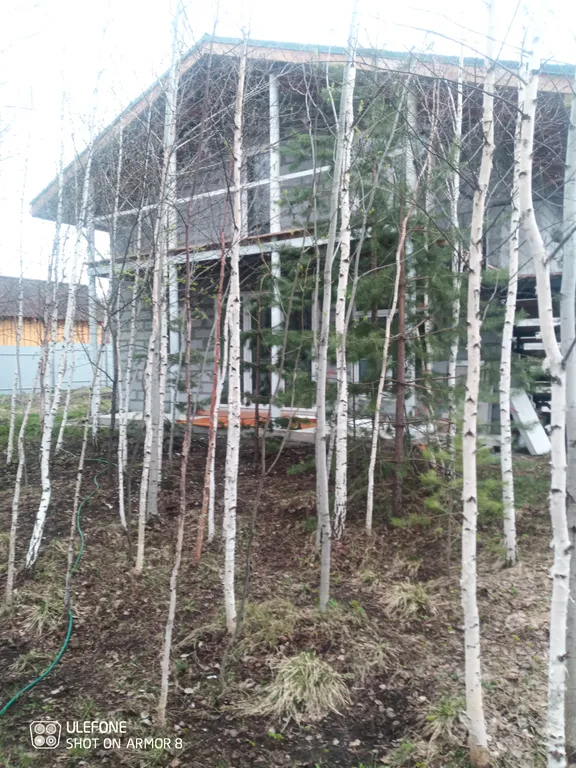 Дом рядом с конно-спортивным комплексом Дубрава