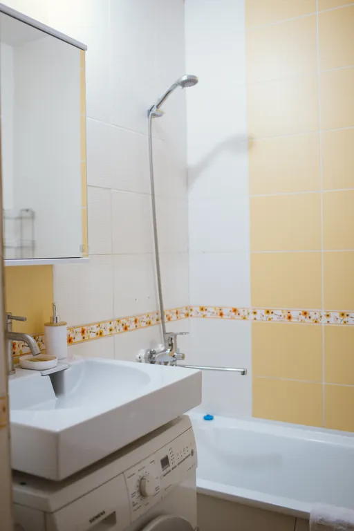 Просторная однокомнатная квартира на 4х гостей