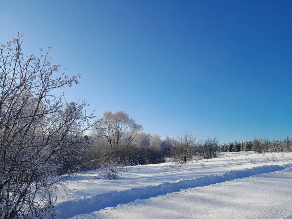 Теплый деревянный дом у воды