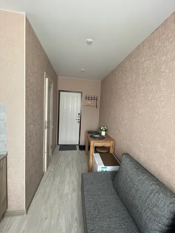 Уютная студия в центре города