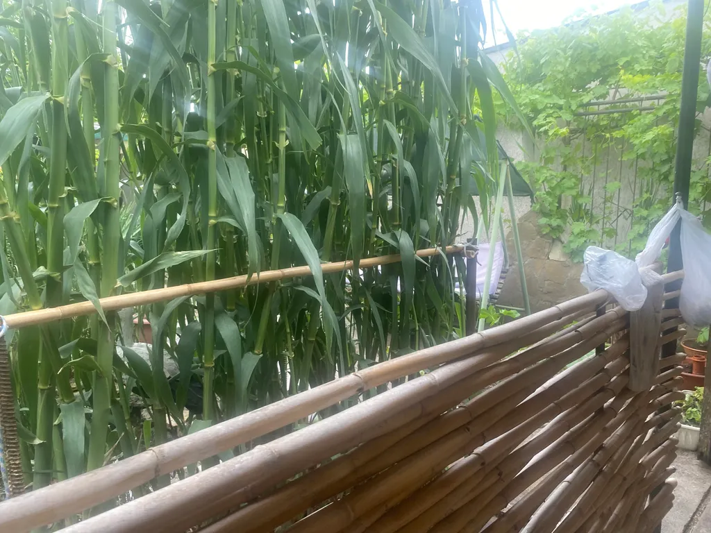 Квартира Комната — Черноморское