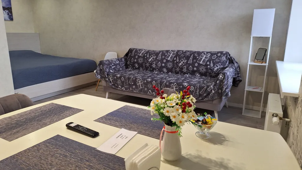 Уютная студия в центре города