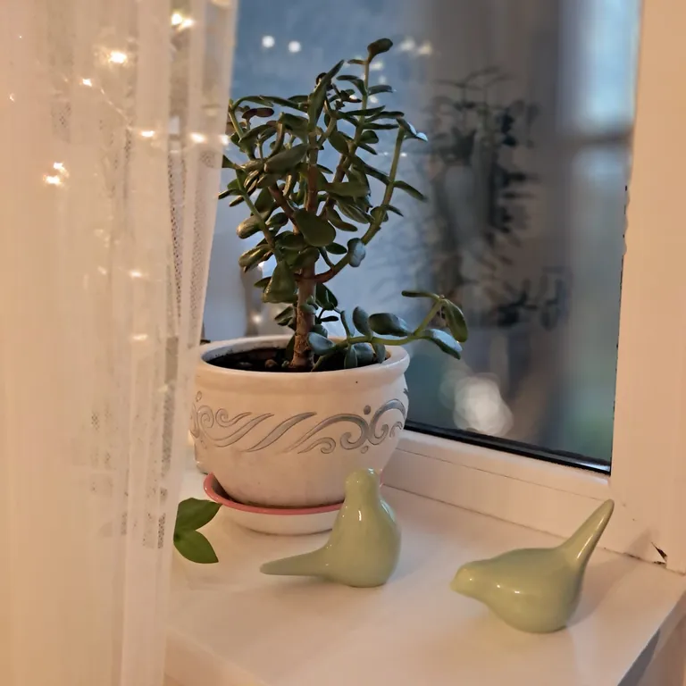 Квартира Квартира Eva appartments — Кронштадт